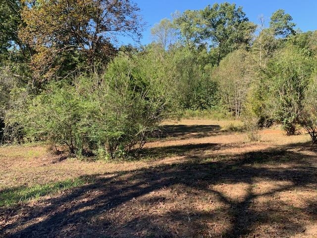 4496 Vernie Kirk Road Pocahontas, TN 38061 - Photo 23 of 30 a view of a yard with wooden fence