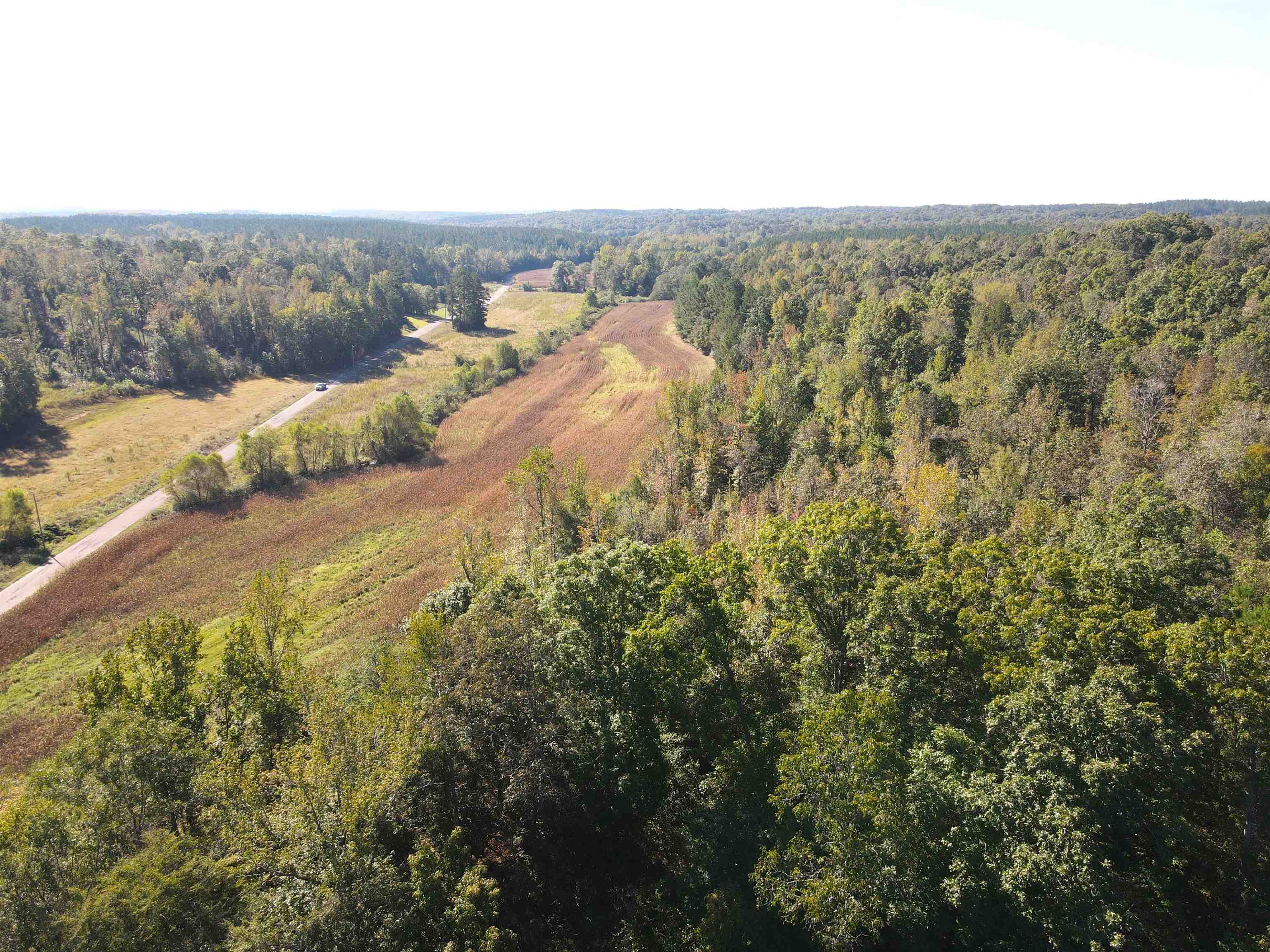 4496 Vernie Kirk Road Pocahontas, TN 38061 - Photo 24 of 30 a view of a forest with a mountain in the background