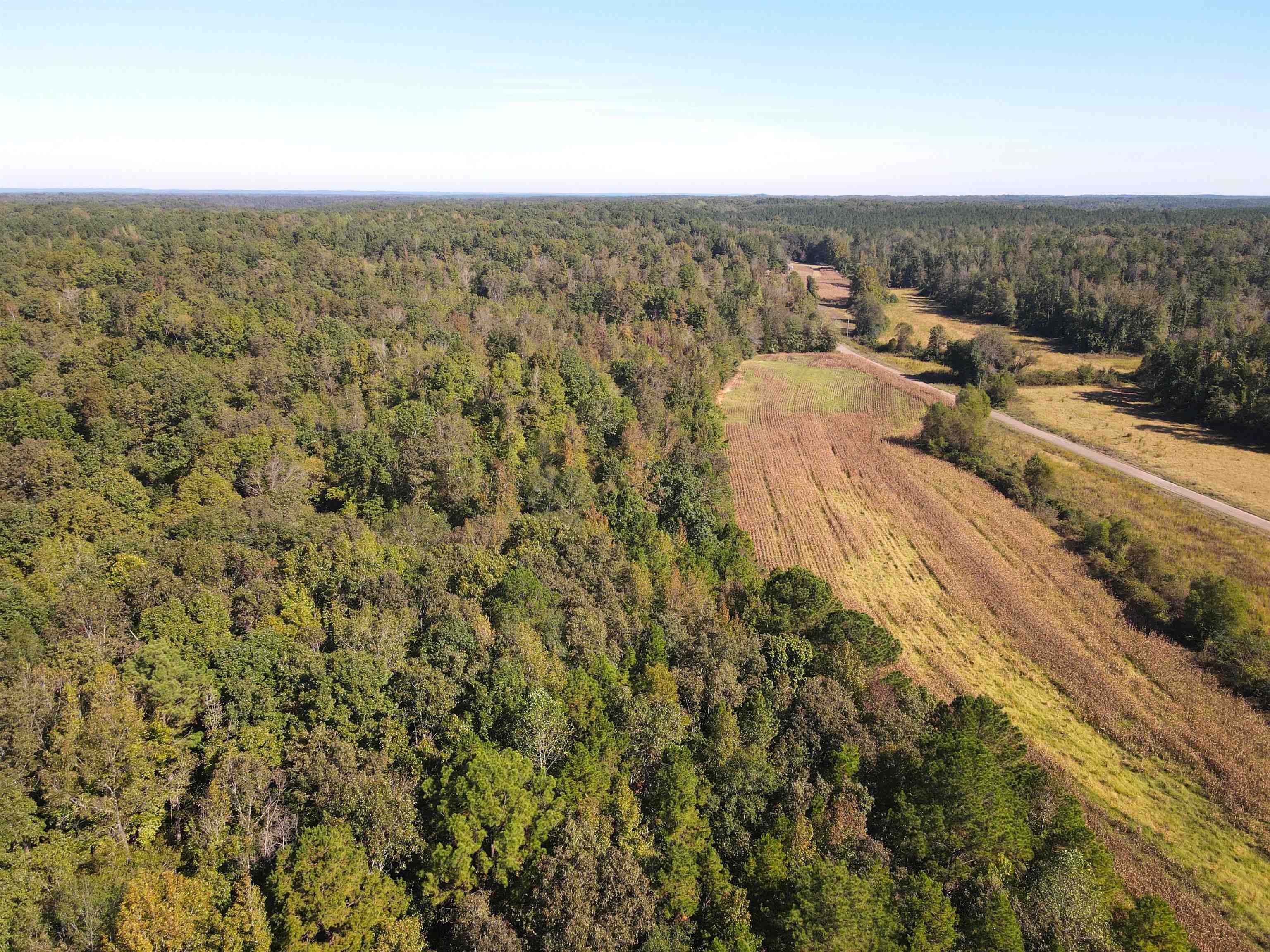 4496 Vernie Kirk Road Pocahontas, TN 38061 - Photo 26 of 30 an aerial view of a
