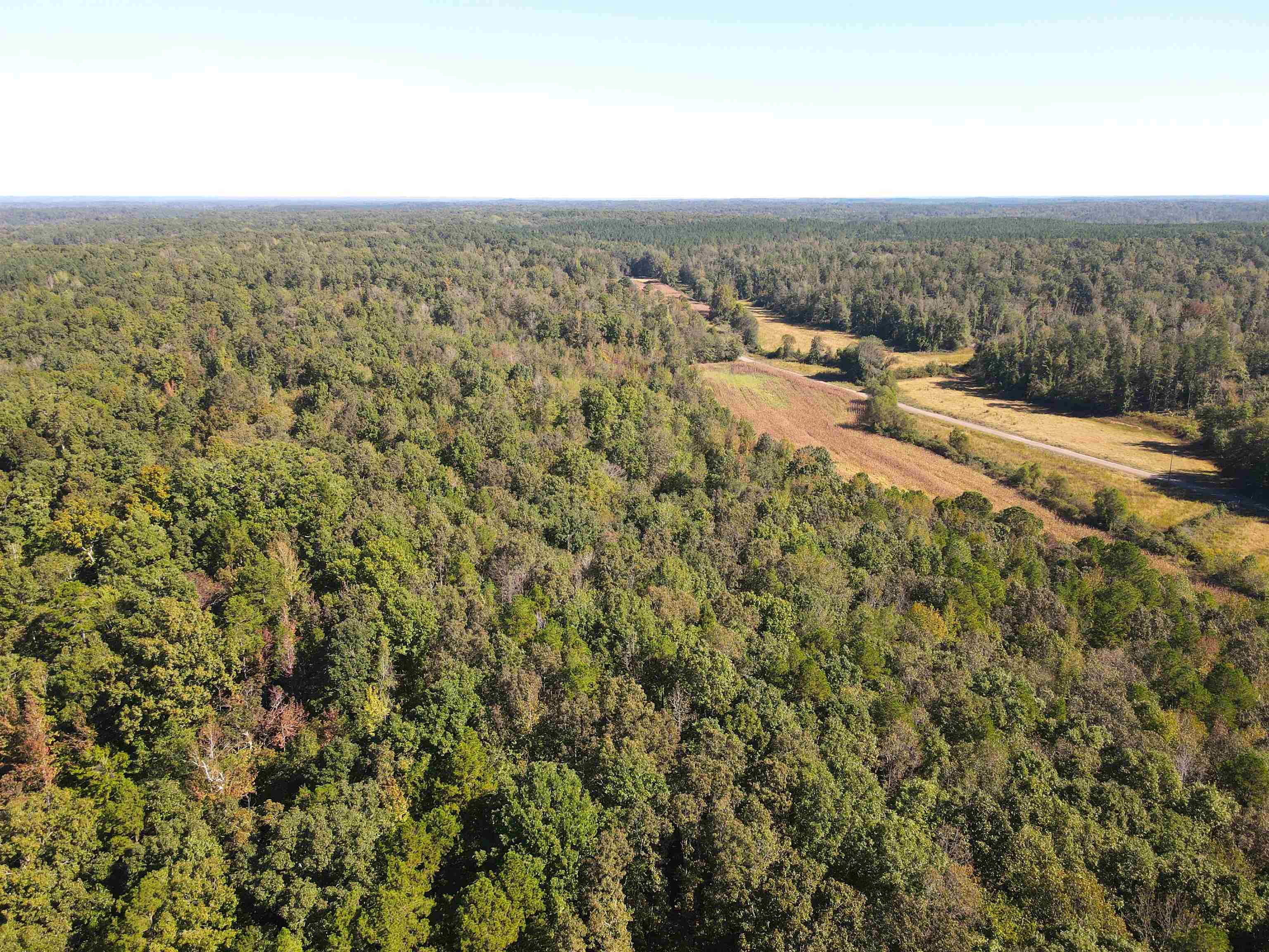 4496 Vernie Kirk Road Pocahontas, TN 38061 - Photo 27 of 30 view of a city