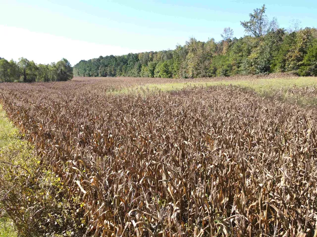 a view of an outdoor space with mountain view
