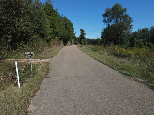 a view of a road with a yard