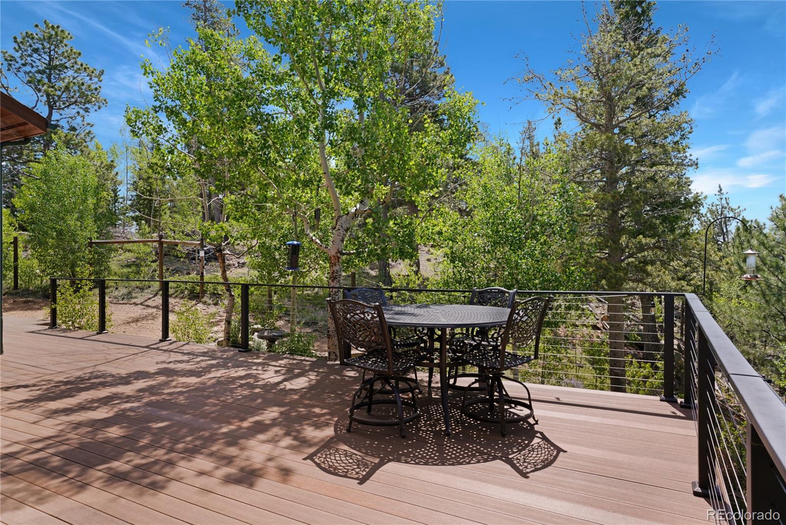 1316 Royal Ridge Drive Bailey, CO 80421 - Photo 17 of 32