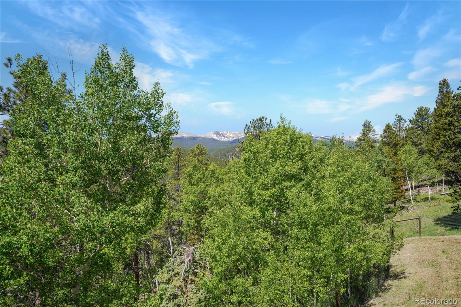 1316 Royal Ridge Drive Bailey, CO 80421 - Photo 18 of 32