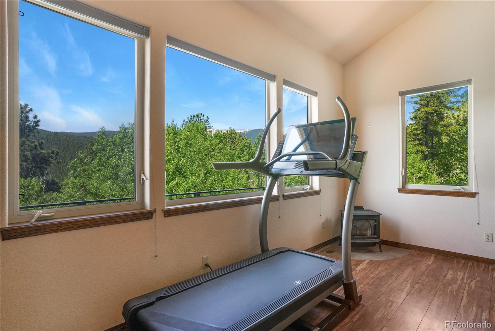 1316 Royal Ridge Drive Bailey, CO 80421 - Photo 21 of 32