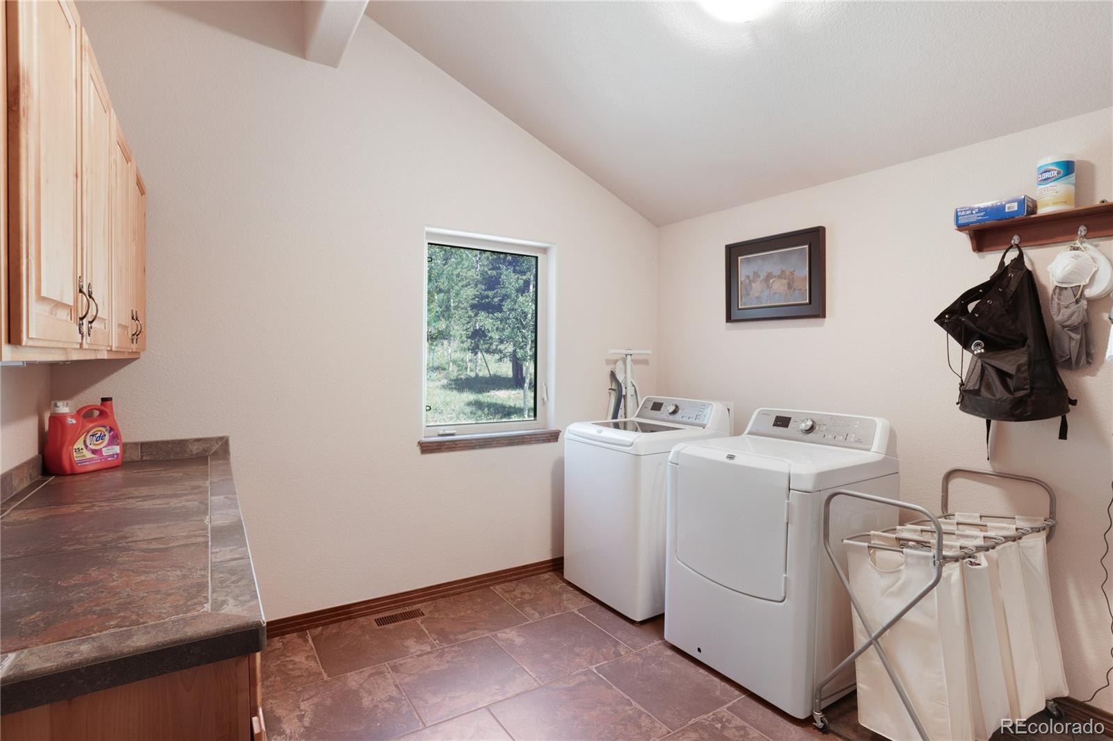 1316 Royal Ridge Drive Bailey, CO 80421 - Photo 23 of 32