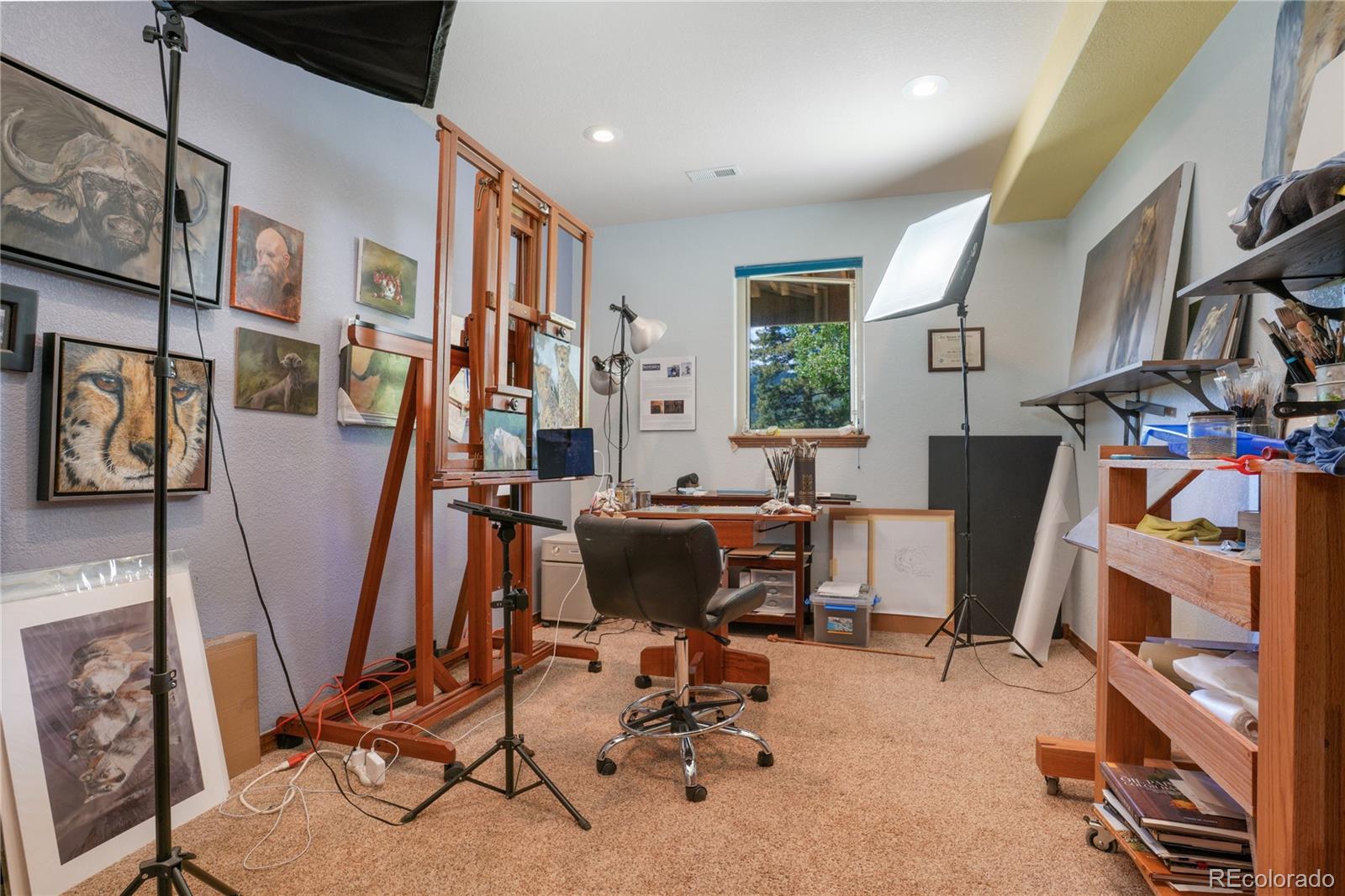 1316 Royal Ridge Drive Bailey, CO 80421 - Photo 31 of 32