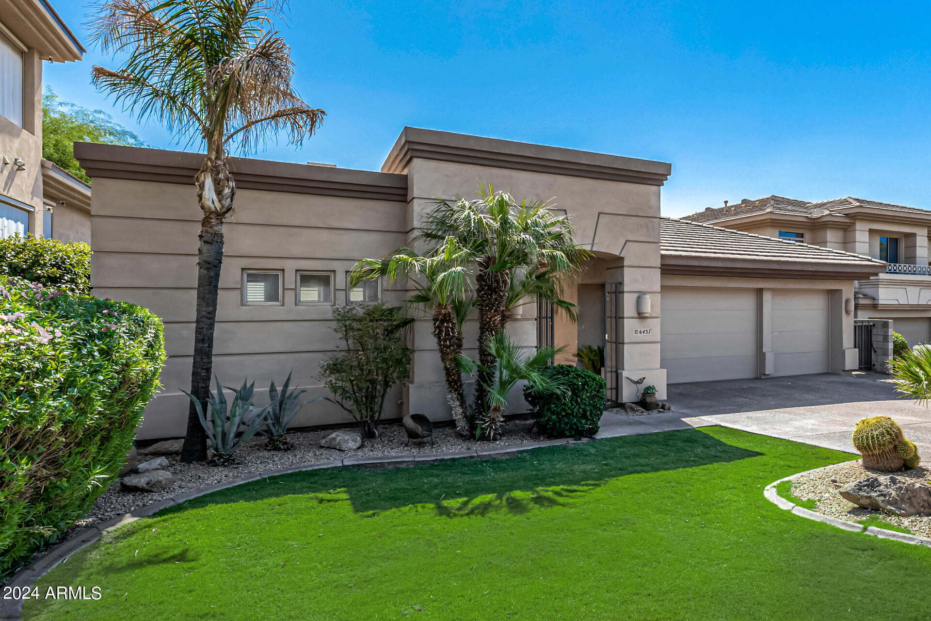 a view of a backyard with a plants