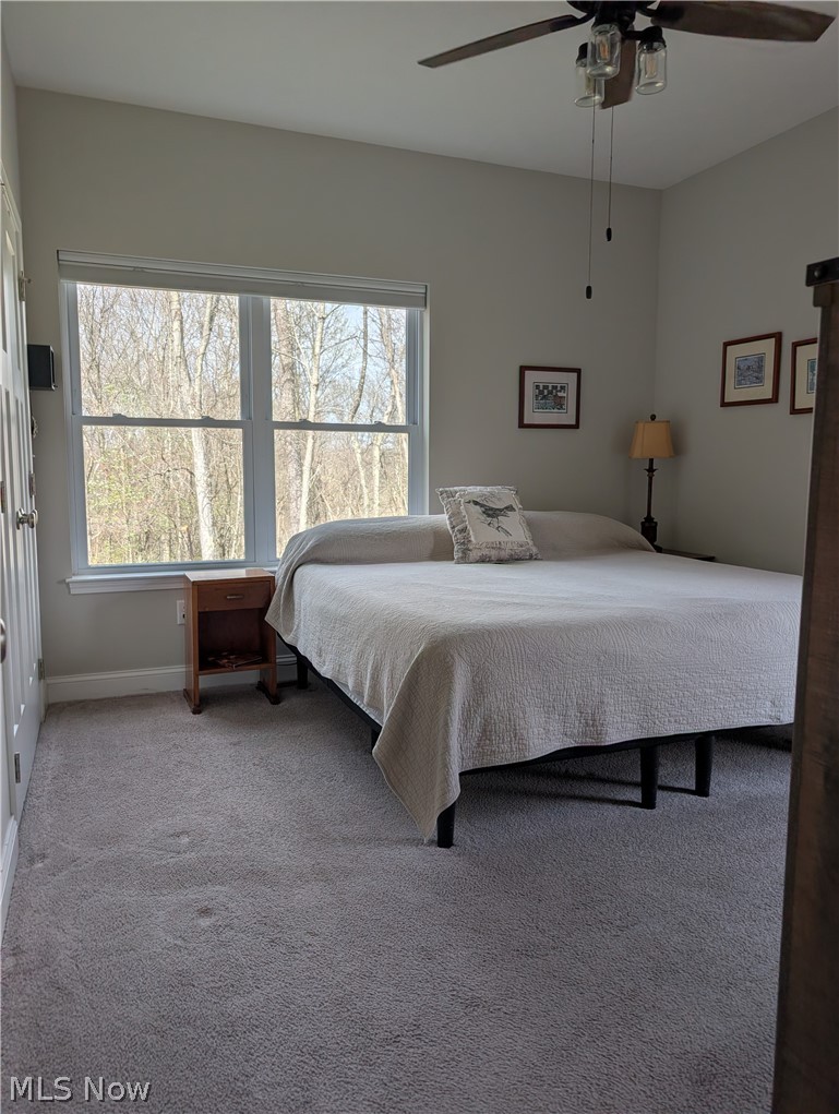 10073 Dunlap Road Cambridge, OH 43725 - Photo 20 of 49 Primary Bedroom on the main level with double closets, full bathroom and wall out deck.