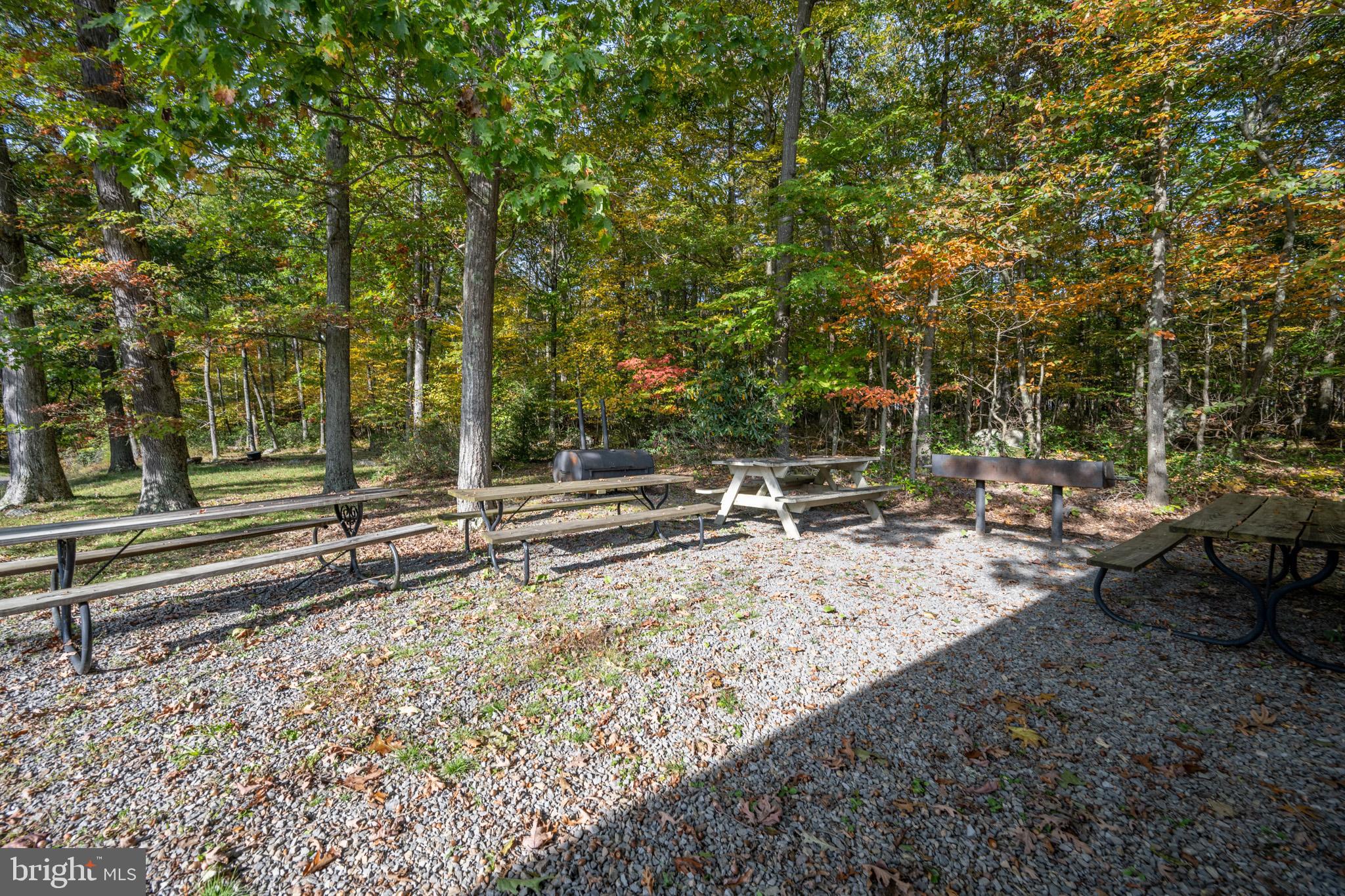 328 Stool Rock Road Oakland, MD 21550 - Photo 133 of 136