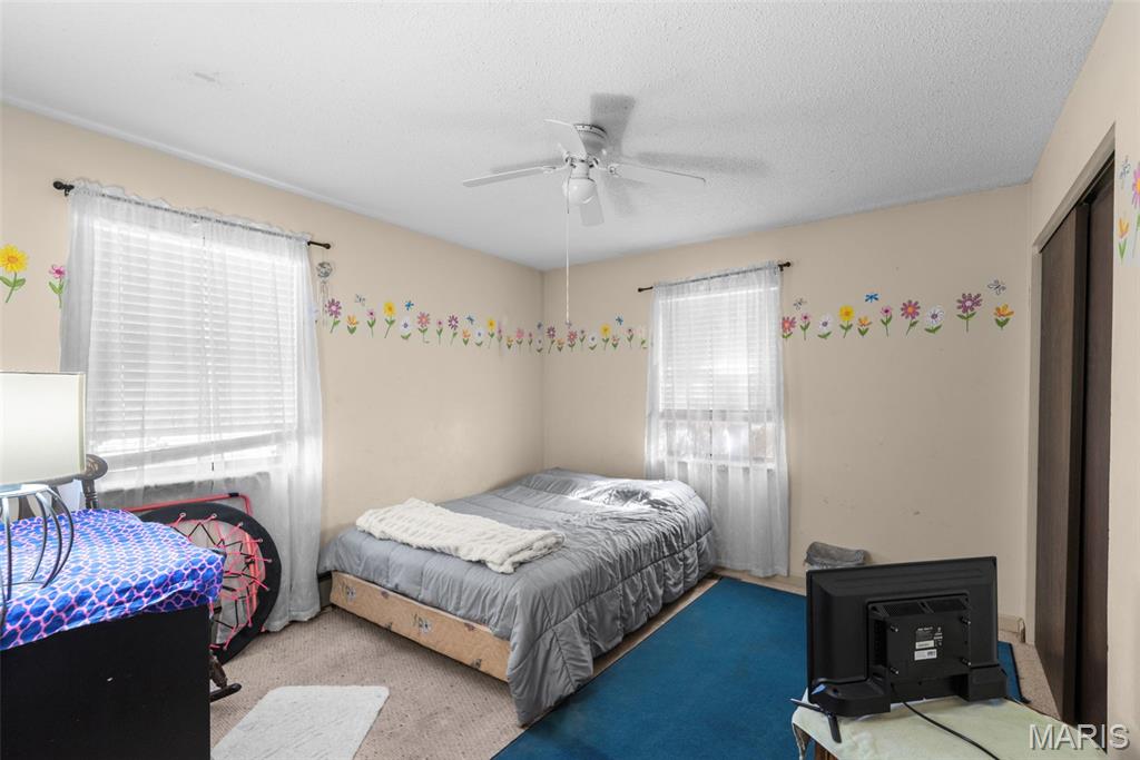 4547 Fererro Lane Imperial, MO 63052 - Photo 23 of 29