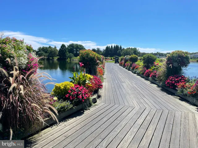 a bedroom with bed and a window