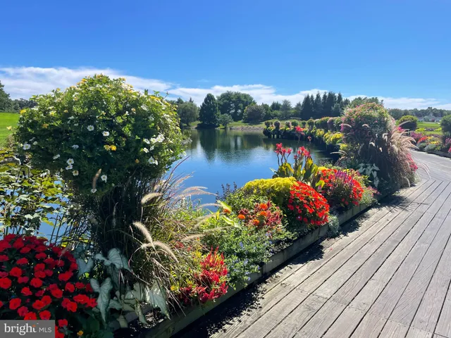 a view of a street with houses