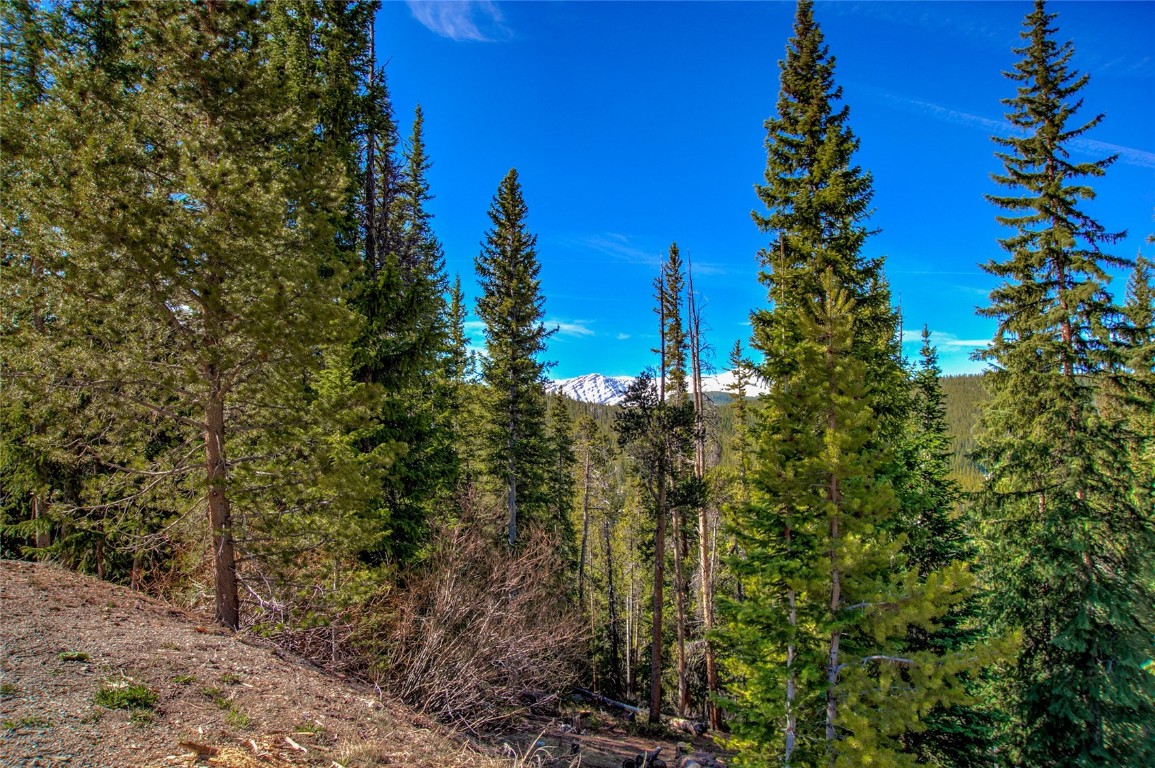 247 South Fuller Placer Road Breckenridge, CO 80424 - Photo 11 of 14 You'll enjoy mountain views from every window.