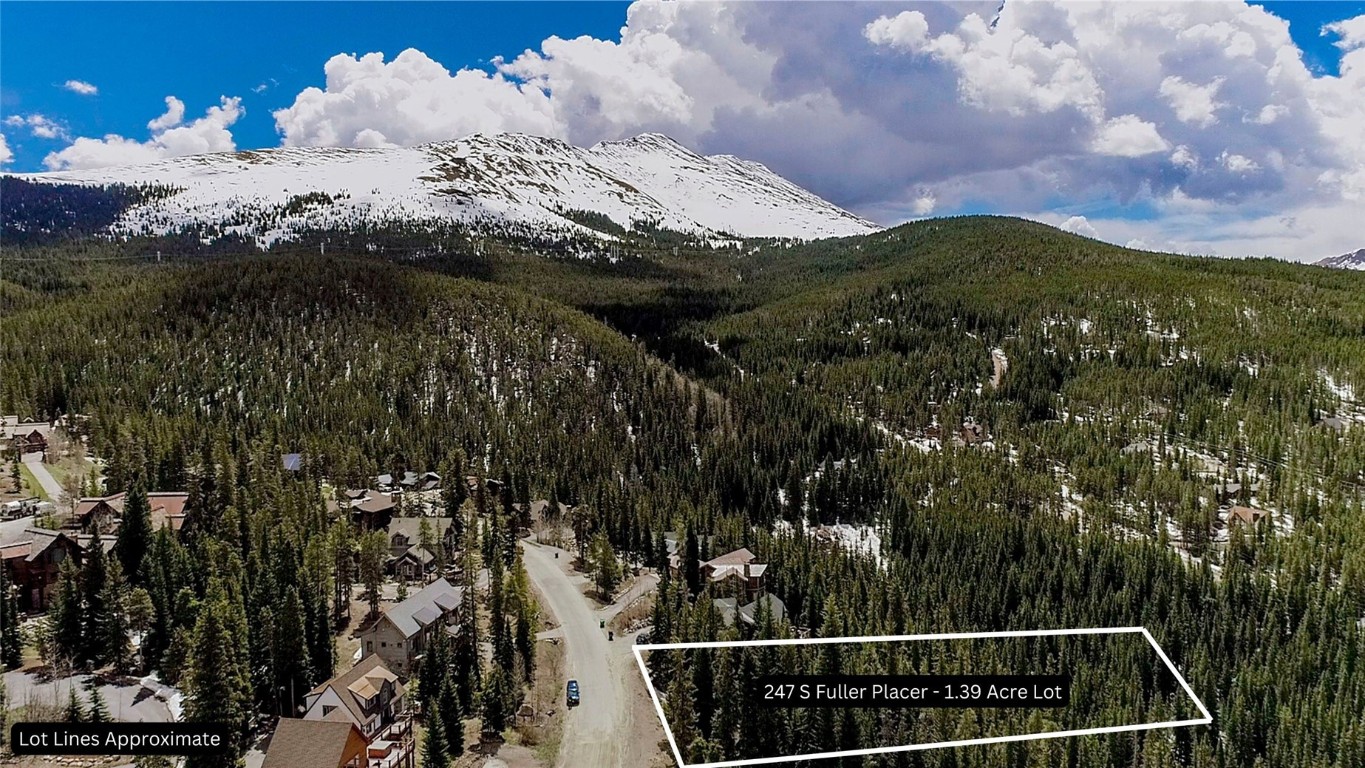 247 South Fuller Placer Road Breckenridge, CO 80424 - Photo 6 of 14