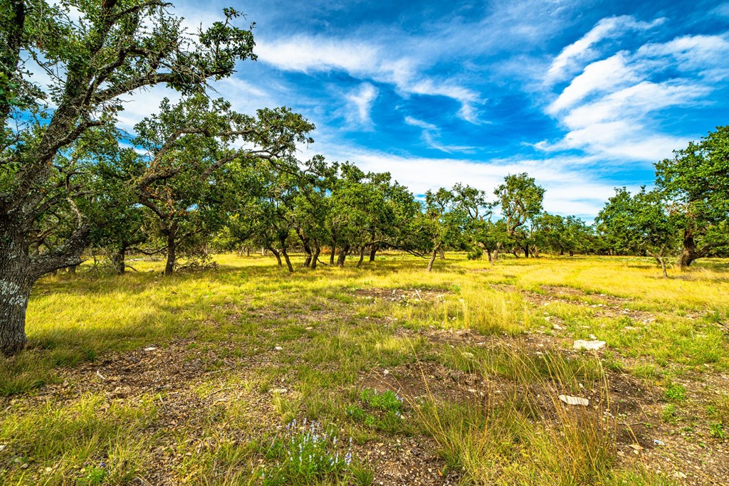 Lot 8 Reservation Road, Unit 8 Harper, TX 78631 - Photo 6 of 7 Gallery Image 6