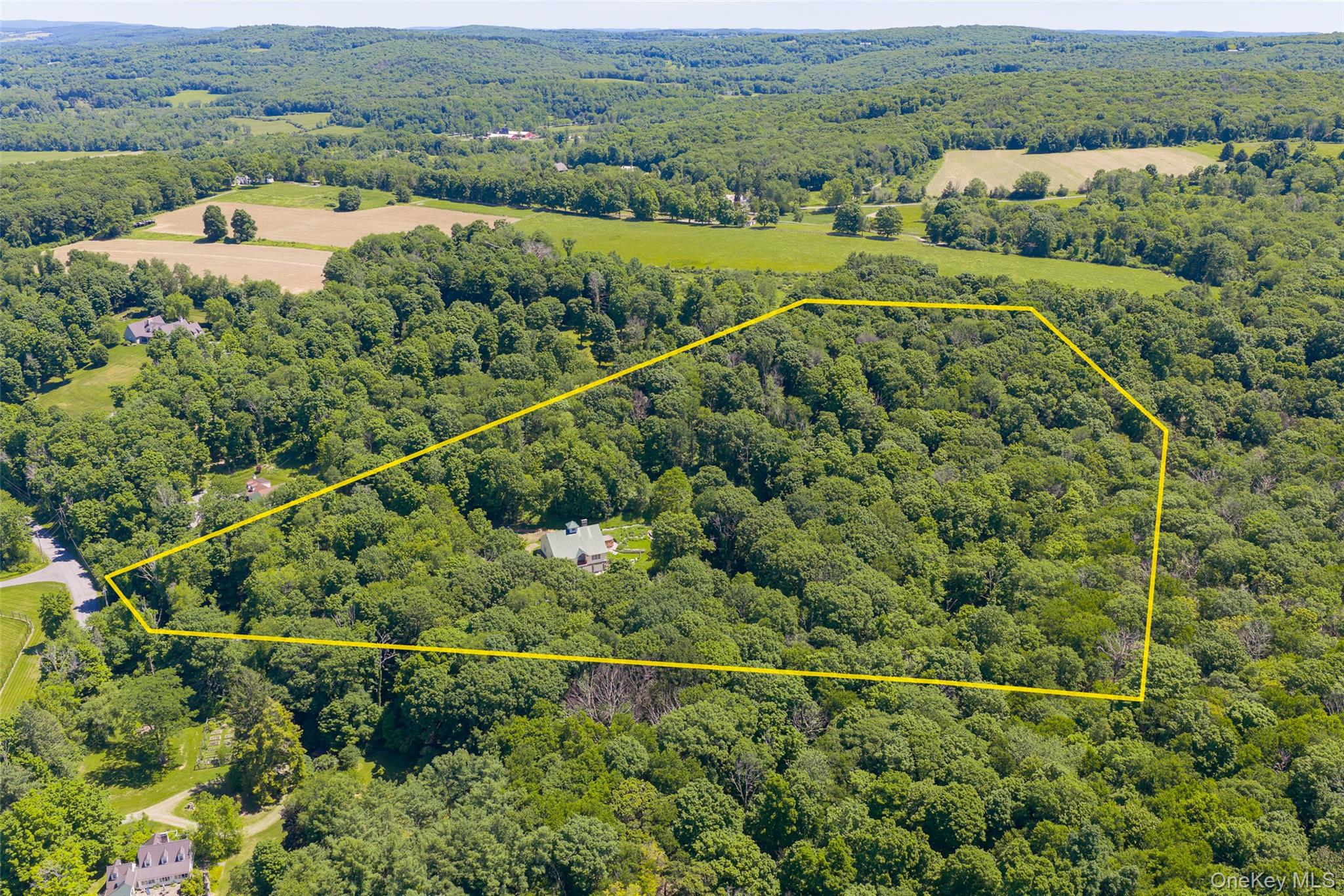 46 Hoxie Road Millbrook, NY 12545 - Photo 29 of 30 25 acres with lot delineation