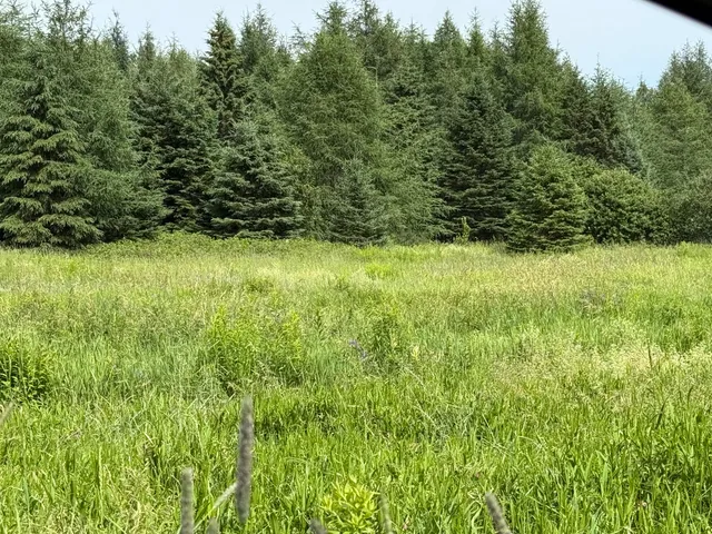 $219,000 | 496 Britton Road, Monticello, ME 04760