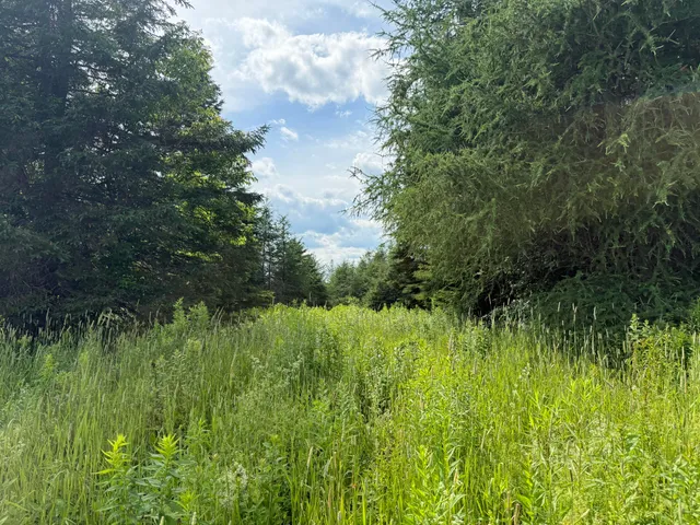 $219,000 | 496 Britton Road, Monticello, ME 04760