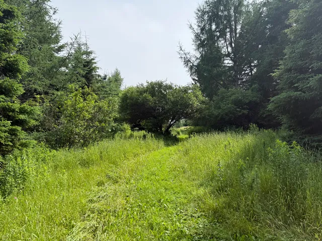 $219,000 | 496 Britton Road, Monticello, ME 04760