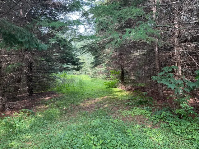 $219,000 | 496 Britton Road, Monticello, ME 04760