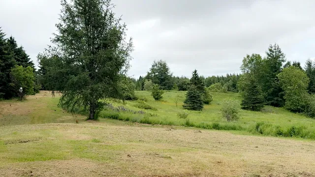 $219,000 | 496 Britton Road, Monticello, ME 04760