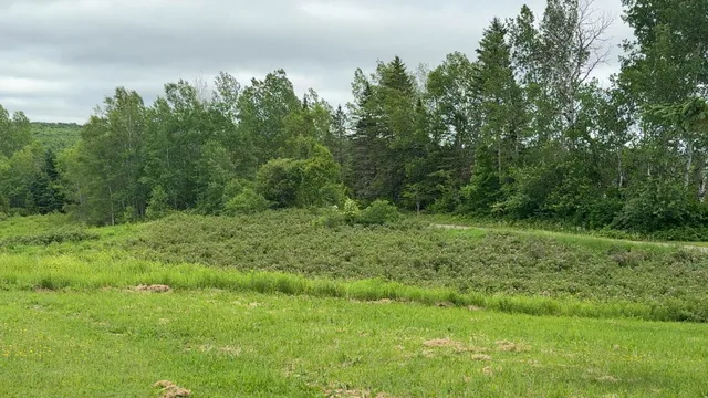 $219,000 | 496 Britton Road, Monticello, ME 04760