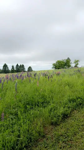 $219,000 | 496 Britton Road, Monticello, ME 04760