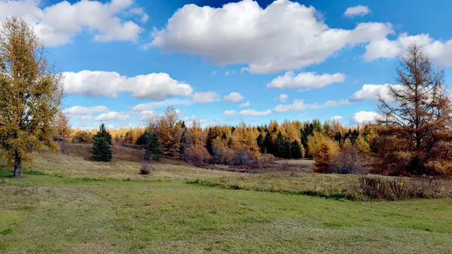 $219,000 | 496 Britton Road, Monticello, ME 04760