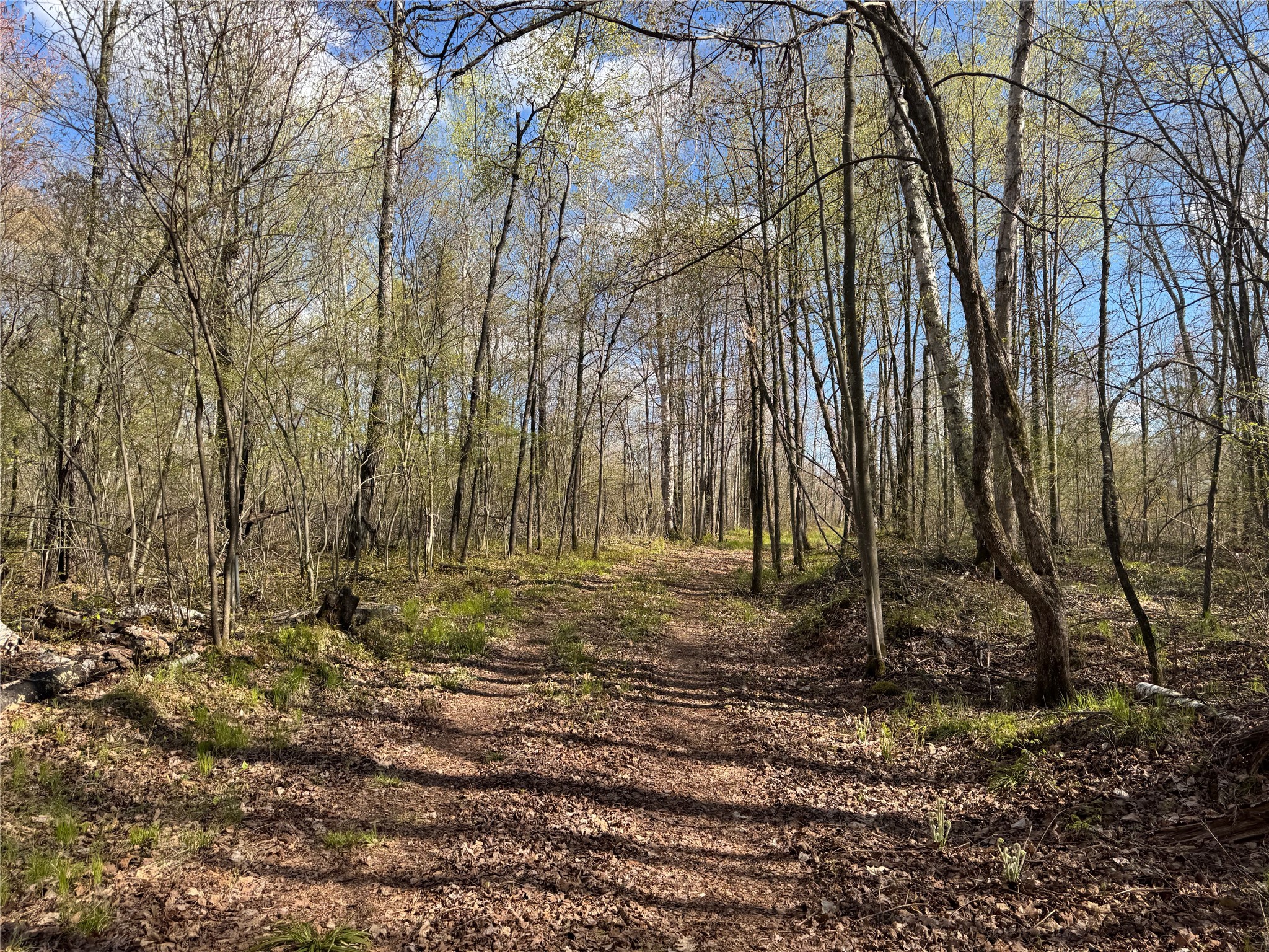 Lot 7 Trapper Trail Hayward, WI 54843 - Photo 35 of 42