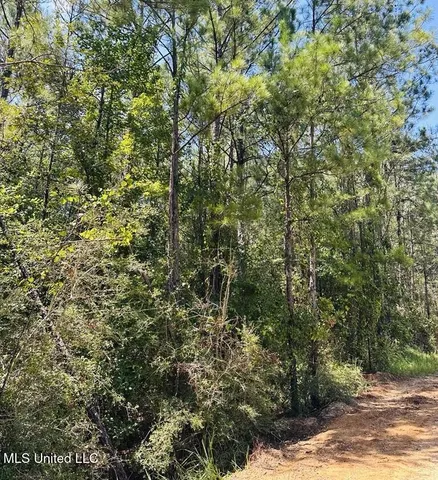 $379,000 | 136 Acres Moody Road, Neely, MS 39461
