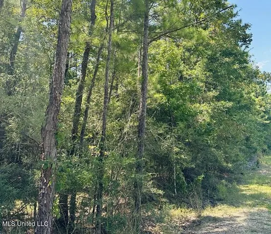 $379,000 | 136 Acres Moody Road, Neely, MS 39461