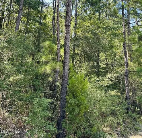 $379,000 | 136 Acres Moody Road, Neely, MS 39461