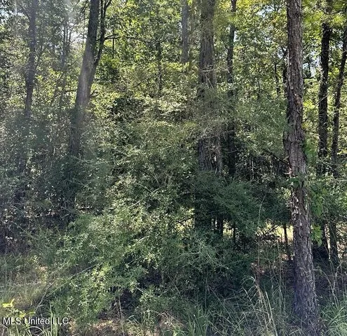 $379,000 | 136 Acres Moody Road, Neely, MS 39461