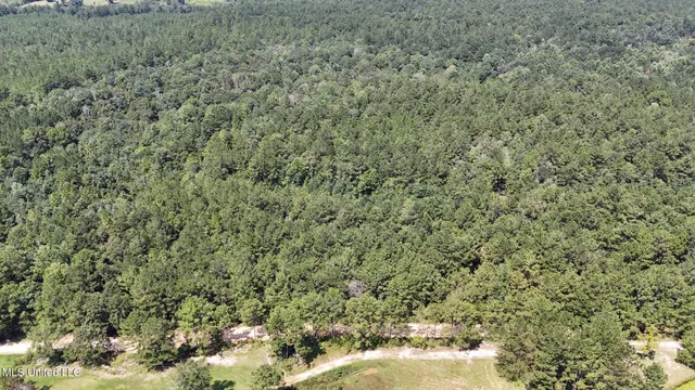 $379,000 | 136 Acres Moody Road, Neely, MS 39461