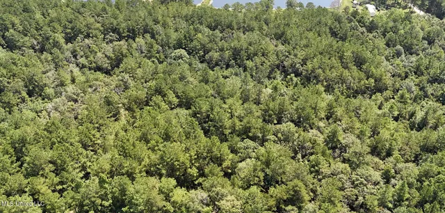 $379,000 | 136 Acres Moody Road, Neely, MS 39461