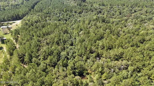 $379,000 | 136 Acres Moody Road, Neely, MS 39461