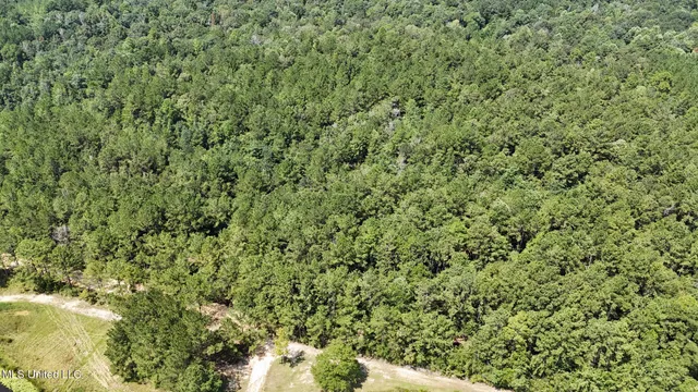 $379,000 | 136 Acres Moody Road, Neely, MS 39461