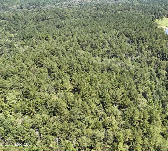 $379,000 | 136 Acres Moody Road, Neely, MS 39461
