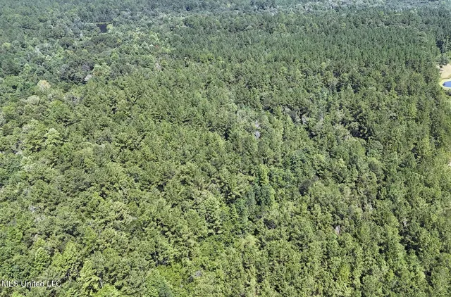$379,000 | 136 Acres Moody Road, Neely, MS 39461