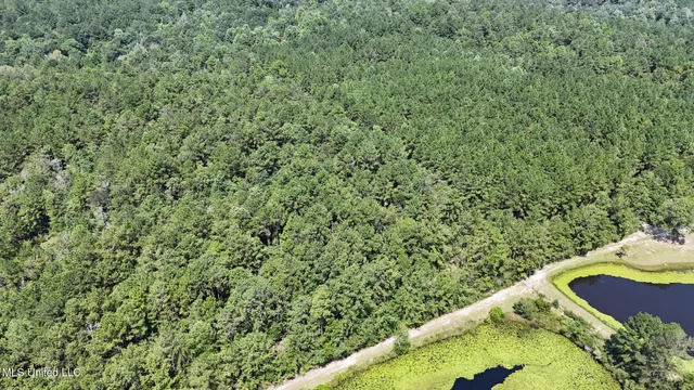 $379,000 | 136 Acres Moody Road, Neely, MS 39461