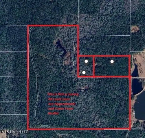 $379,000 | 136 Acres Moody Road, Neely, MS 39461
