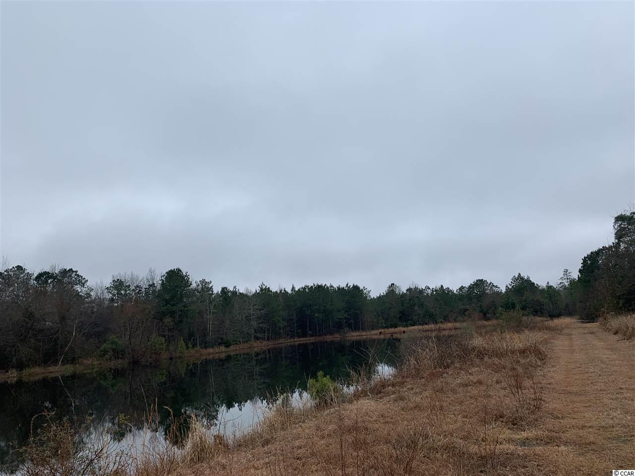 28-ac McClam Road Cades, SC 29518 - Photo 1 of 4