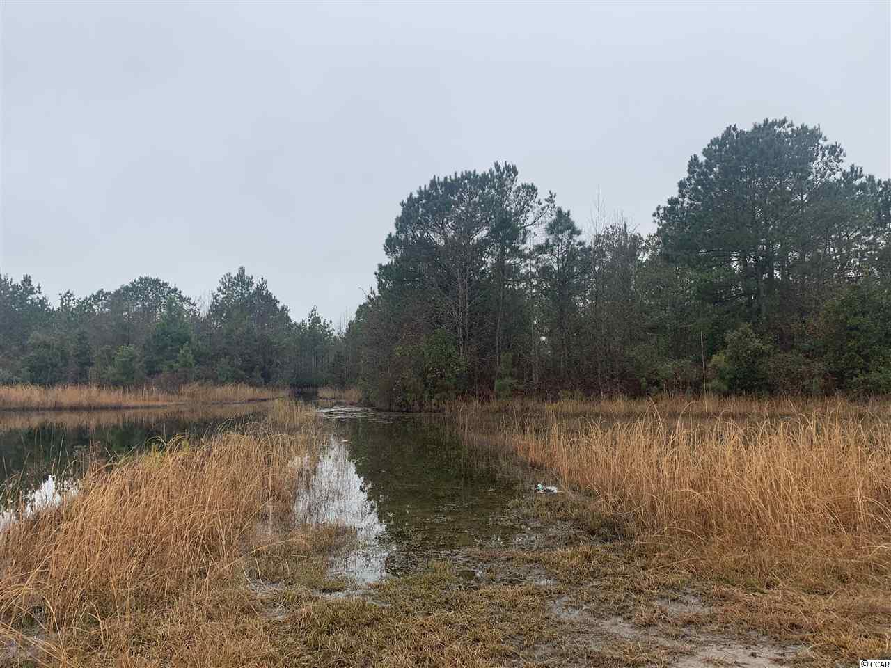 28-ac McClam Road Cades, SC 29518 - Photo 2 of 4