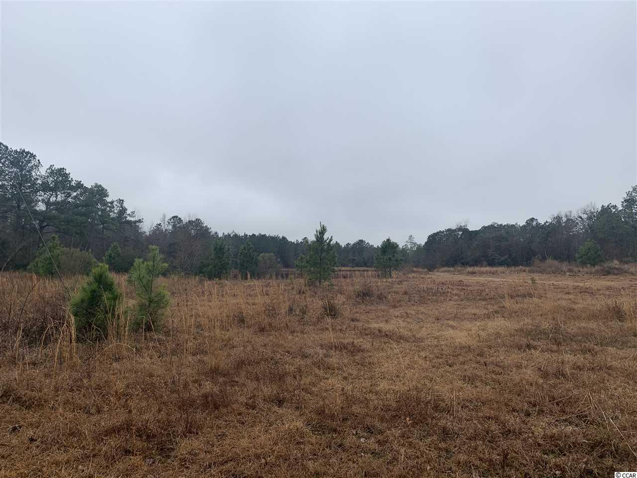 28-ac McClam Road Cades, SC 29518 - Photo 3 of 4
