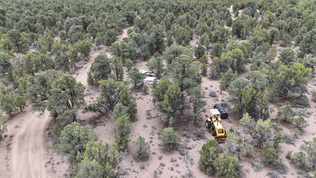 St, Unit 1 & 2 Modena, UT 84753 - Photo 19 of 69 Wooded parcel featuring numerous mature trees and a visible dirt path