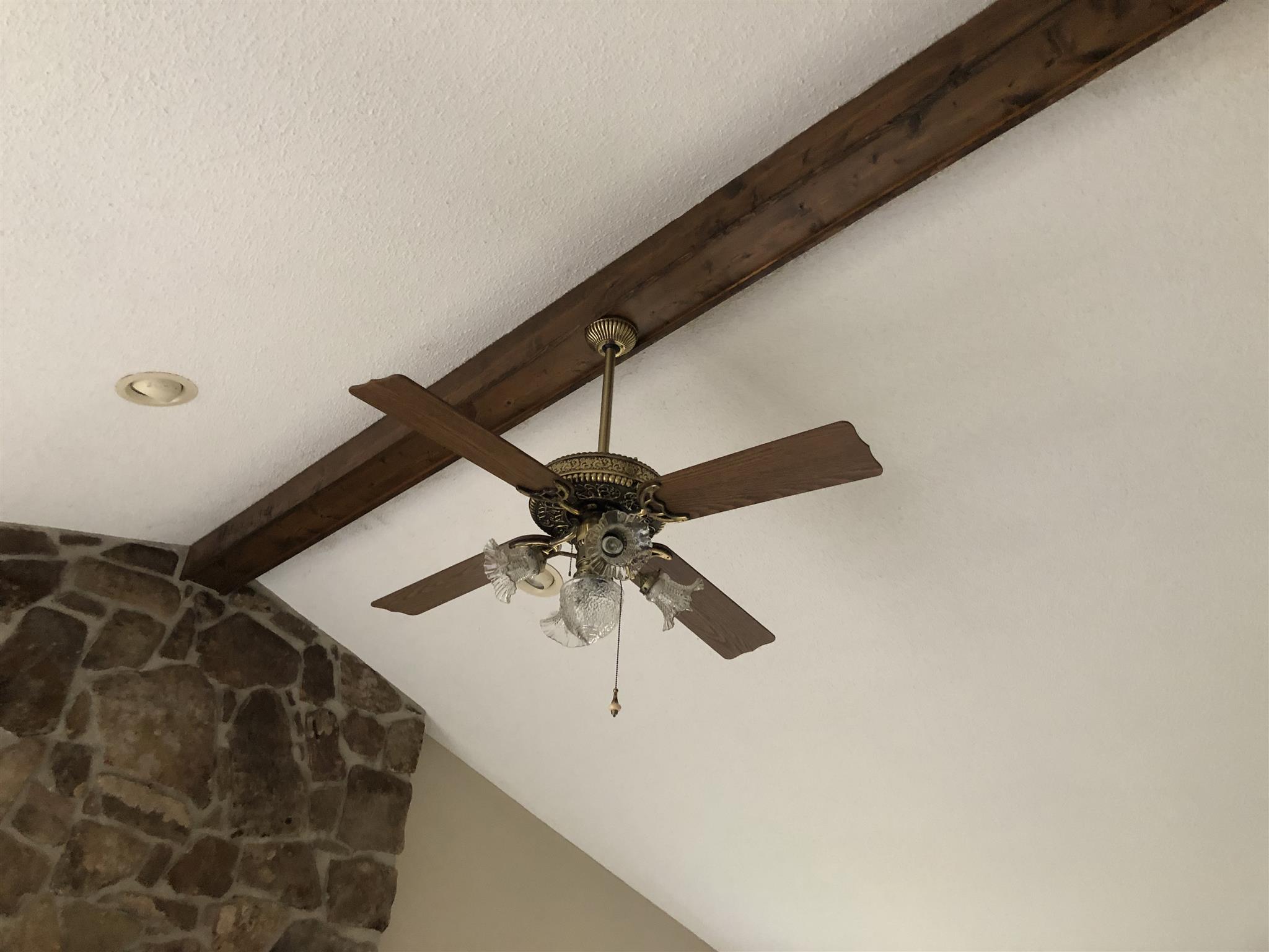 246 Leslie Jamie Road Manchester, TN 37355 - Photo 8 of 23 Living Room Ceiling Fam