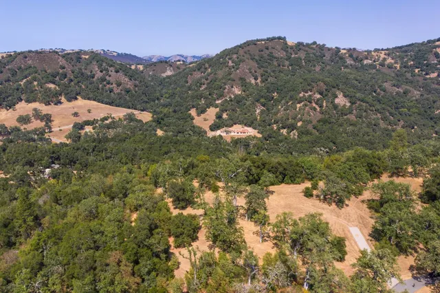 a view of a tree in a yard