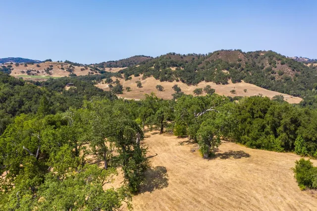 a view of a yard with a tree