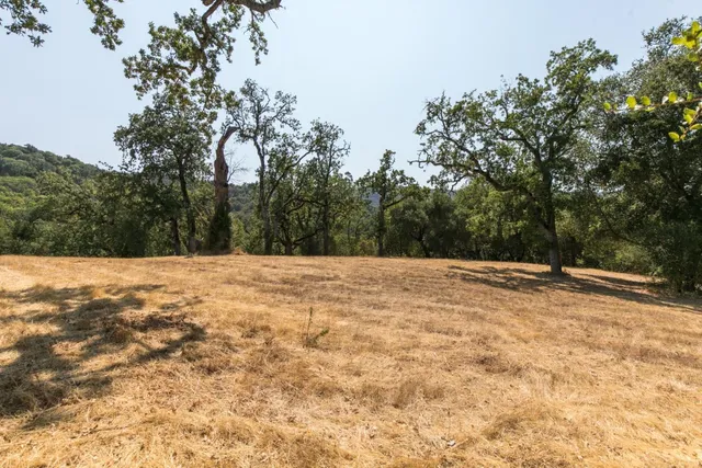 a view of a backyard of the house